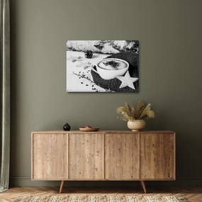 Obraz - Zimné cappuccino (70x50 cm)
