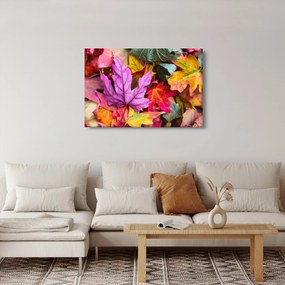 Obraz - jesenné listy (90x60 cm)