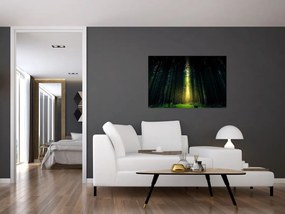 Obraz temného lesa (90x60 cm)