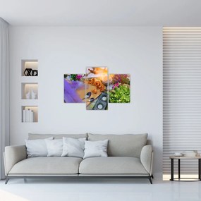 Obraz - letný piknik (90x60 cm)