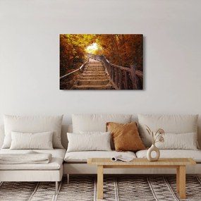 Obraz - Schody v prírode na jeseň (90x60 cm)