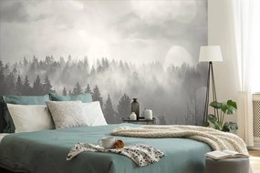 Fototapeta čiernobiela hmla nad lesom - 150x100