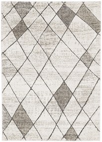 Koberce Breno Kusový koberec CASTRO Carved 4928/NQ2A, viacfarebná,80 x 120 cm