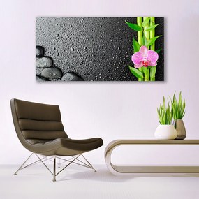 Obraz plexi Bambus stonka kvet rastlina 120x60 cm