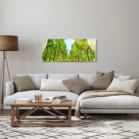 Obraz - Výhľad na les (120x50 cm)