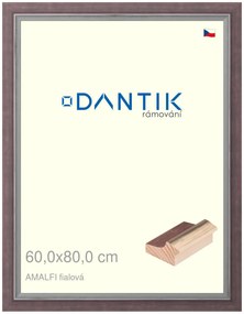 DANTIK rám na obraz 60x80 | AMALFI fialová (Plexi Čiré)