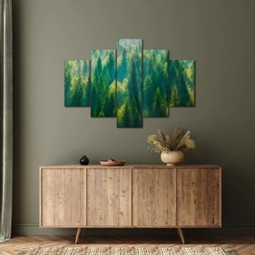 Obraz - Borovicový les (150x105 cm)