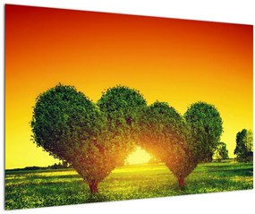 Obraz - Srdce v korunách stromov (90x60 cm)