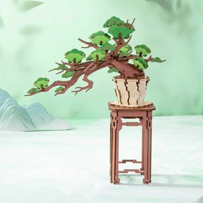 RoboTime 3D drevená skladačka Bonsai borovica