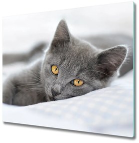 Sklenená doska na krájanie Sivá mačka 60x52 cm