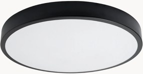 Stropné LED svietidlo Franco, rôzne veľkosti