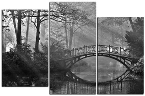 Obraz na plátne - Starý most  1139QD (105x70 cm)