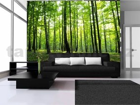 Vliesové fototapety, rozmer 312 x 219 cm, les, IMPOL TRADE 186VE
