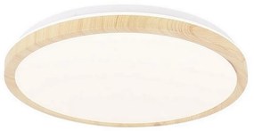 LED Stropné svietidlo GANDAVA LED/24W/230V