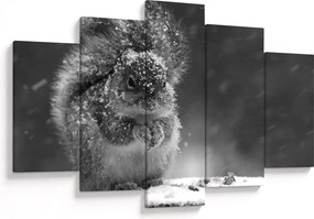 Obraz - Veverička v zime (150x105 cm)