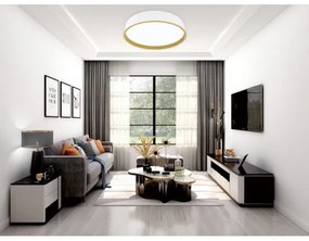 Top Light - LED Stmievateľné stropné svietidlo DEKOR LED/51W/230V + DO biela/béžová