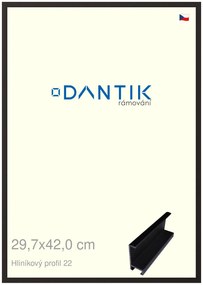 DANTIK rám na obraz 29,7x42 | ALU Černá matná (Plexi Čiré)