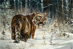 Obraz - Tiger v zasneženom lese, olejomaľba (90x60 cm)