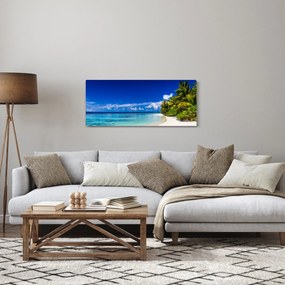 Obraz tropickej pláže (120x50 cm)
