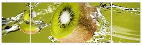 Kiwi - obraz