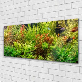 Obraz plexi Akvárium rybičky rastliny 125x50 cm