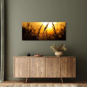 Obraz zapadajúceho slnka (120x50 cm)