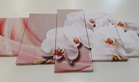 5-dielny obraz biela orchidea na plátne - 200x100
