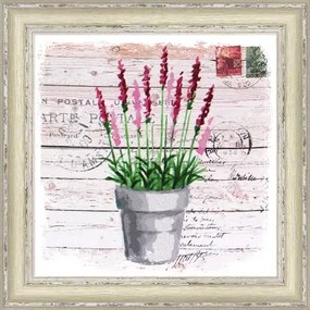 Rámovaný obraz 30x30 cm FAP507%