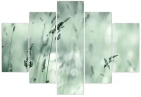 Obraz - Zelená lúka (150x105 cm)