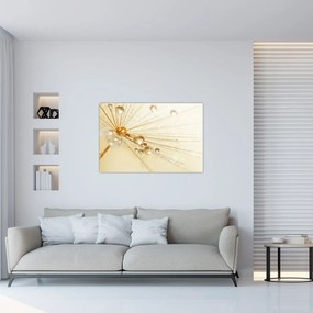 Obraz - Makro fotografie púpavy (90x60 cm)