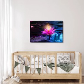 Obraz lekna na vode (90x60 cm)