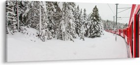 Obraz - Vlak v zasneženej krajine (120x50 cm)