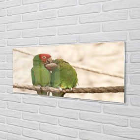 Obraz na akrylátovom skle Zelené papagáje 120x60 cm