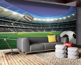 Fototapeta - Futbal (152,5x104 cm)