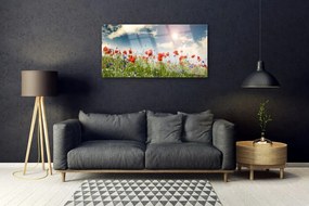 Skleneny obraz Lúka kvety slnko príroda 100x50 cm