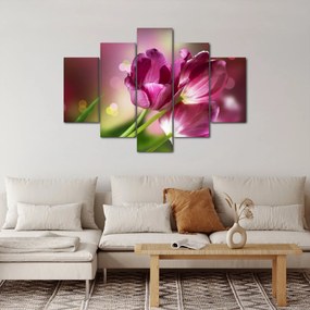 Obraz ružových tulipánov (150x105 cm)