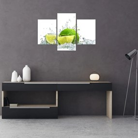 Obraz - Limetky (90x60 cm)