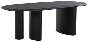 Jedálenský stôl s doskou v dekore jaseňového dreva 100x220 cm Tirano – House Nordic