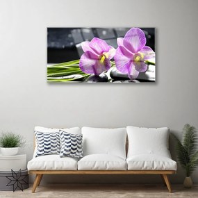 Obraz na skle Kvety rastlina príroda 125x50 cm