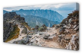 Obraz canvas hory 140x70 cm