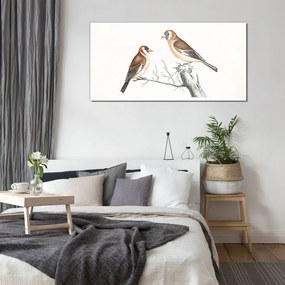 Obraz na skle Zvieracie vták pobočka