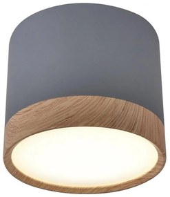 LED Stropné svietidlo TUBA LED/9W/230V