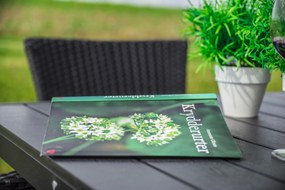Noela Záhradný jedálenský set Viking M + 4x ratanové kreslo Bali