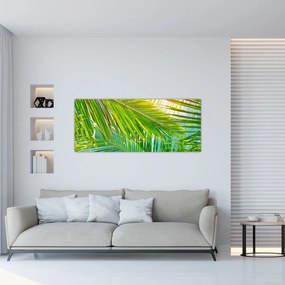 Obraz - Palmové listy (120x50 cm)