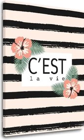 Obraz na stenu s textom C est la vie
