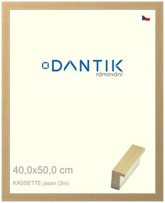 DANTIK rám na obraz 40x50 | KASSETTE jasan (Plexi Čiré)