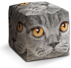 Taburet Cube mačací pohľad, sivá