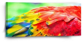 Sablio Obraz Farebné perie 2 - 110x50 cm