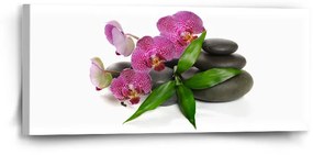 Sablio Obraz Orchidea a kamene - 110x50 cm