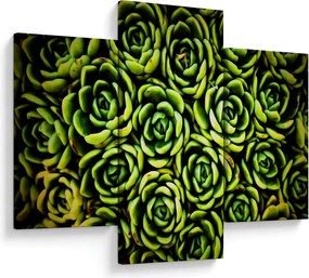 Obraz skalníc (90x60 cm)